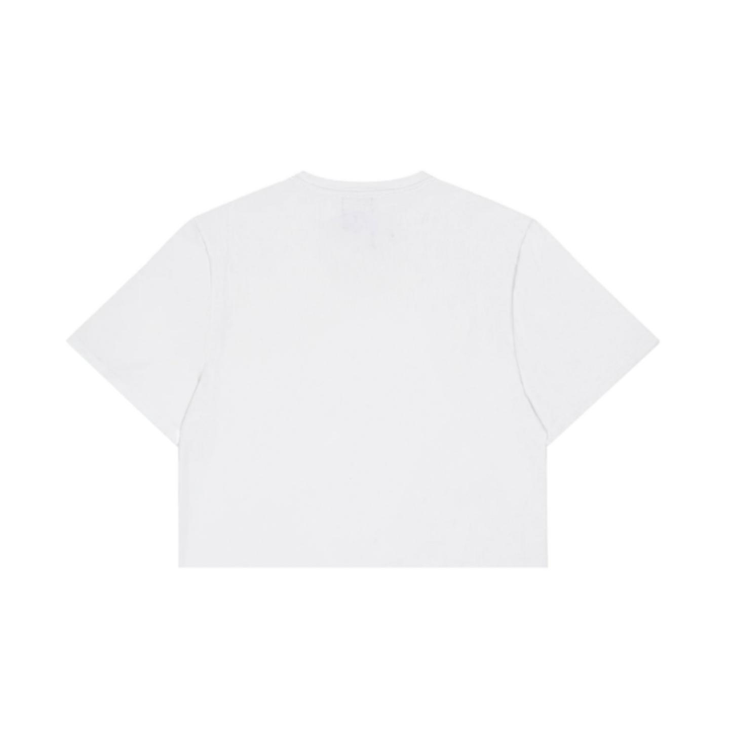 Pegasus-Gallop Shirt
